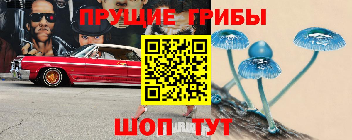 Галлюциногенные грибы Magic Shrooms Новоалтайск