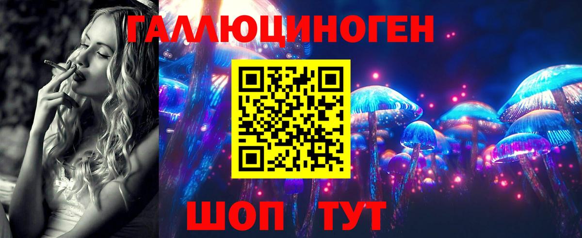Новоалтайск  Галлюциногенные грибы прущие грибы  Вход с VPN 
